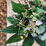 Valentine's Day Home Grown Hand Tied Posy